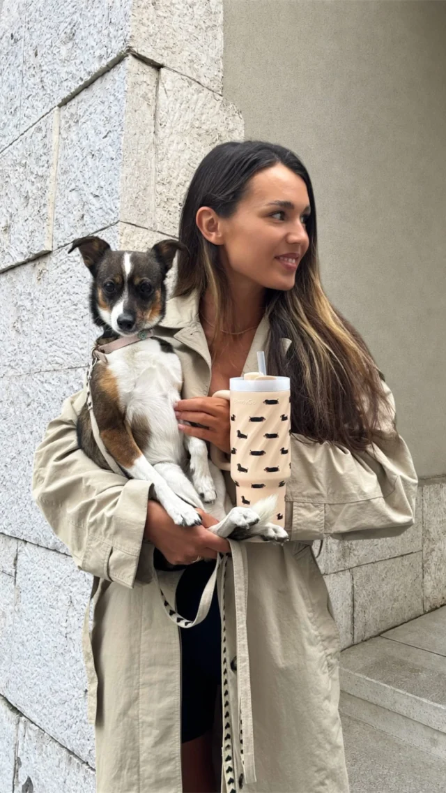 City walks, puppy cuddles & smoothies on the go 🐾 Meet our Sausage Dog Duo -…